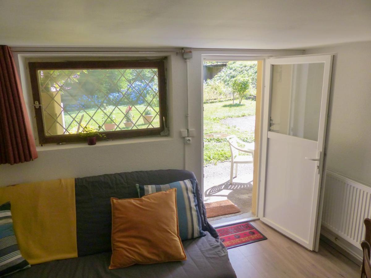 Appartement Entier Dans Un Ecrin De Verdure Thann Exteriör bild