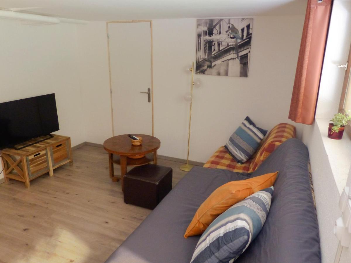 Appartement Entier Dans Un Ecrin De Verdure Thann Exteriör bild