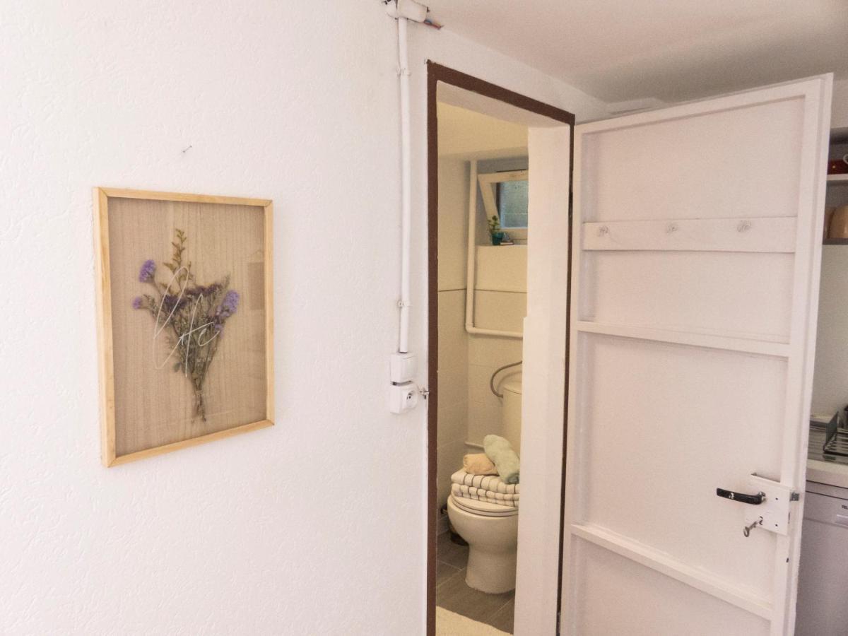 Appartement Entier Dans Un Ecrin De Verdure Thann Exteriör bild